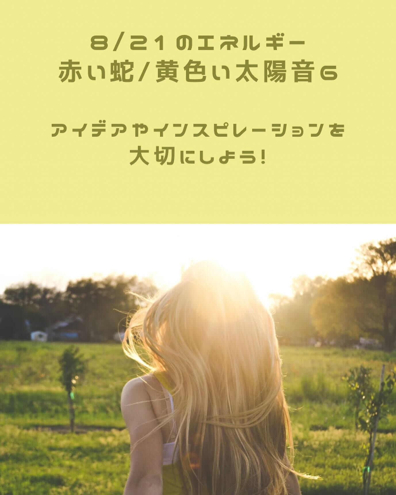 今日から少しずつ、